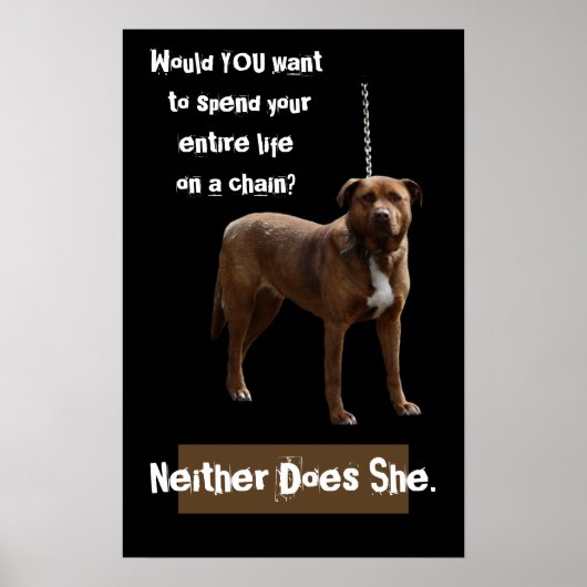 Poster Pitbull Dog sur une chaîne (Devant)