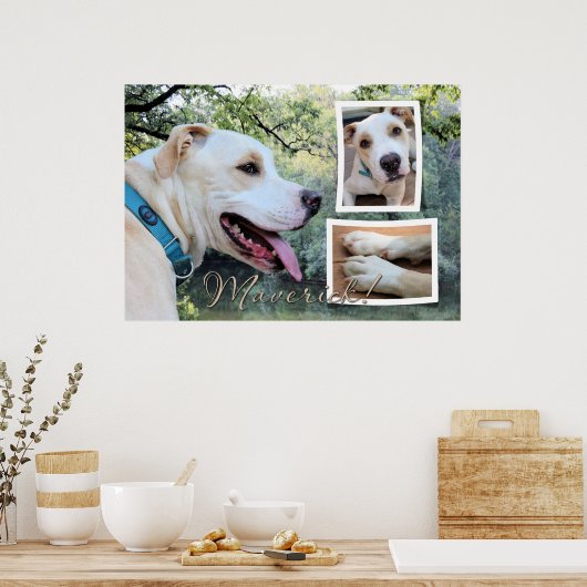 Poster Pitbull - Maverick Composite (Cuisine)