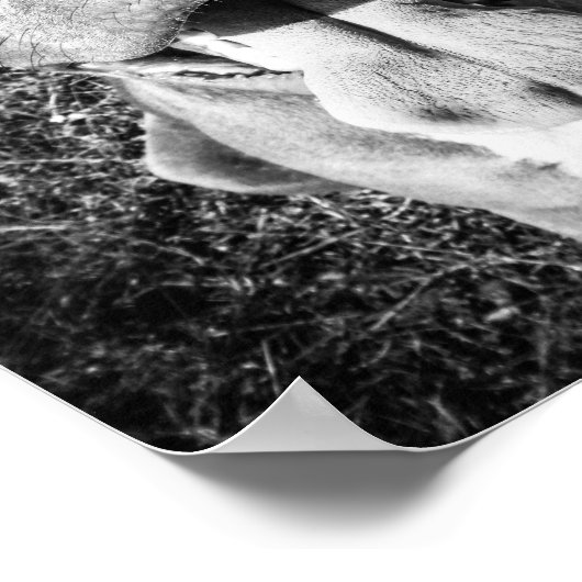 Poster PitBull souriant (Coin)