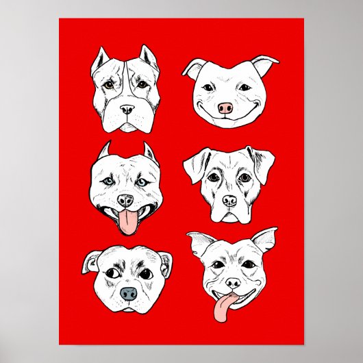 Poster "Pittie Pittie S'Il Vous Plaît !" Motif de dessin  (Devant)