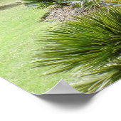 Poster Pittoresque (Coin)