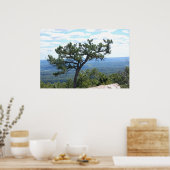 Poster pittoresque (Cuisine)