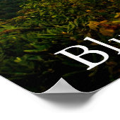 Poster Pittoresque Blue Ridge Mountains Paysage Photograp (Coin)