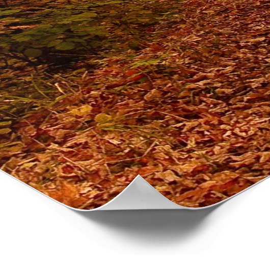 Poster pittoresque Drive (Coin)