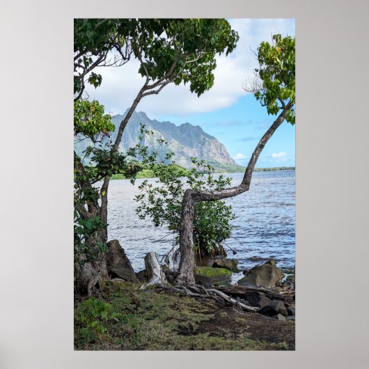 Poster pittoresque Hawaii Coast View (Devant)