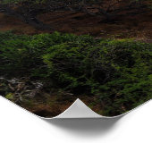 Poster pittoresque Hawaii Coast View (Coin)