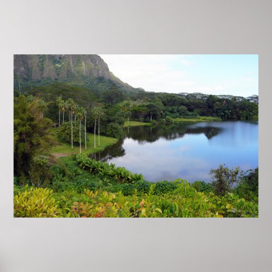 Poster pittoresque Hawaiian View (Devant)