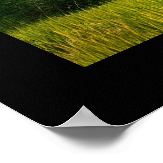 Poster Pittoresque Rustique Feuille d'érable d'automne (Coin)