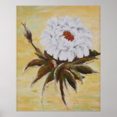 Poster Pivoine blanche (Devant)