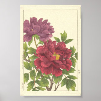 Poster Pivoine de Hodo Nishimura Fleurs Japonaises Beaux-