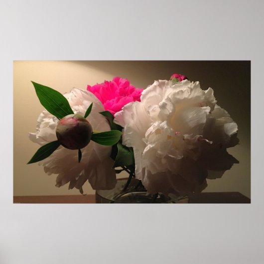 Poster Pivoines, (Devant)