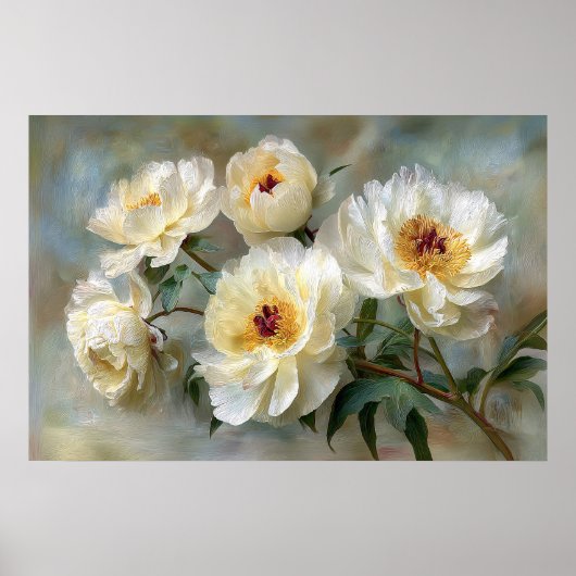 Poster Pivoines blanches élégantes en fleurs (Devant)