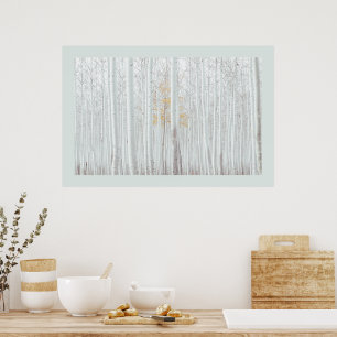 Poster PixDezines Forêt de bouleau argenté couleur de bor