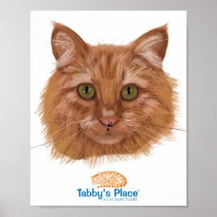 Poster Pixie Portrait