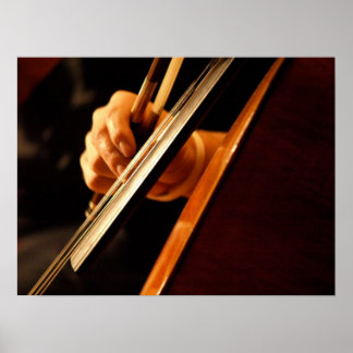 Poster Pizzicato