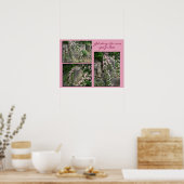 Poster Pk vieux fashroses sur bluff-ZP (Cuisine)