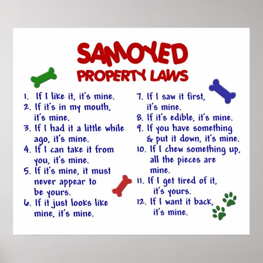 POSTER PL2 SAMOYEN (Devant)