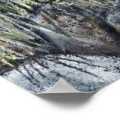 Poster Place secrète dans la forêt (Coin)