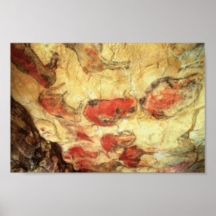 Poster Plafond à Altamira