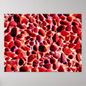 POSTER PLAGE (Devant)