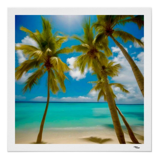 Poster Plage (Devant)