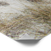 Poster Plage (Coin)
