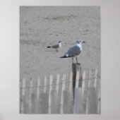 Poster Plage ~ 25,5 (Devant)