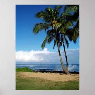 Poster Plage Ali'i 19