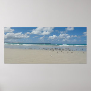 Poster Plage avec mouettes