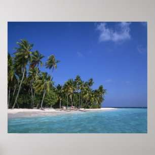 Poster Plage avec palmiers, Maldives