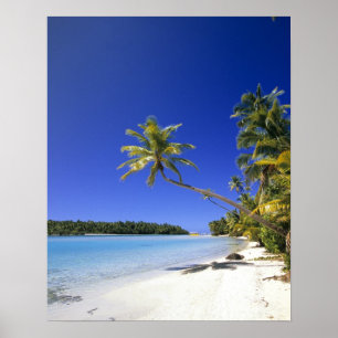 Poster Plage bordée de palmiers Cook Islands