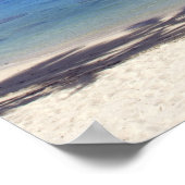 Poster Plage bordée de palmiers Cook Islands (Coin)