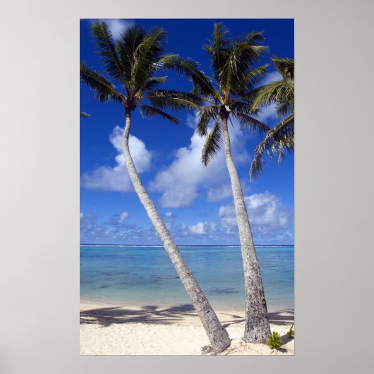 Poster Plage bordée de palmiers Cook Islands (Devant)