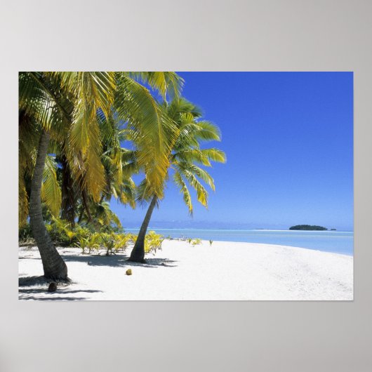 Poster Plage bordée de palmiers Cook Islands 2 (Devant)