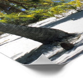 Poster Plage bordée de palmiers Cook Islands 3 (Coin)