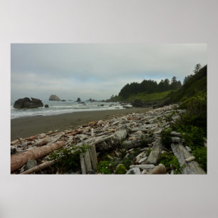 Poster Plage cachée I du parc national de Redwood