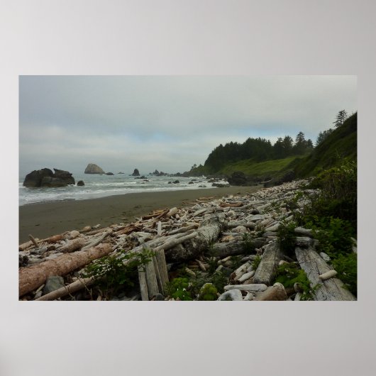 Poster Plage cachée I du parc national de Redwood (Devant)