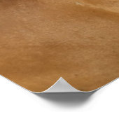 Poster Plage Cascade | Cheval de châtaignes (Coin)