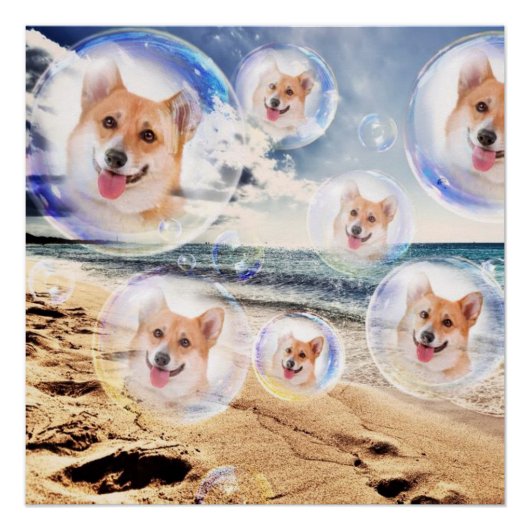 Poster Plage Corgis (Devant)