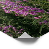 Poster Plage d'algues (Coin)