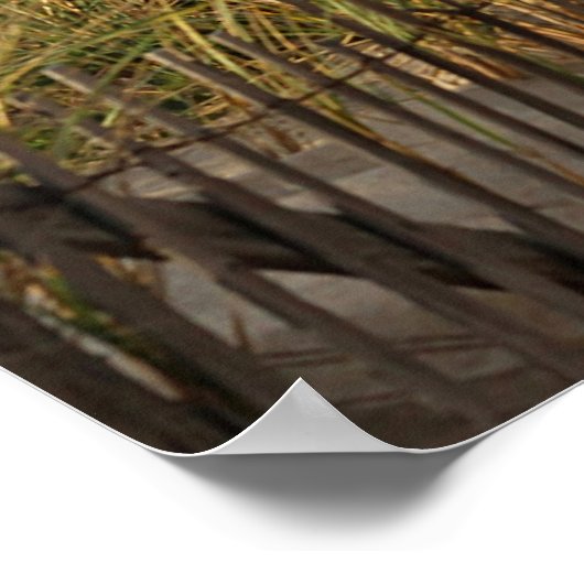 Poster Plage dans les dunes de sable (Coin)