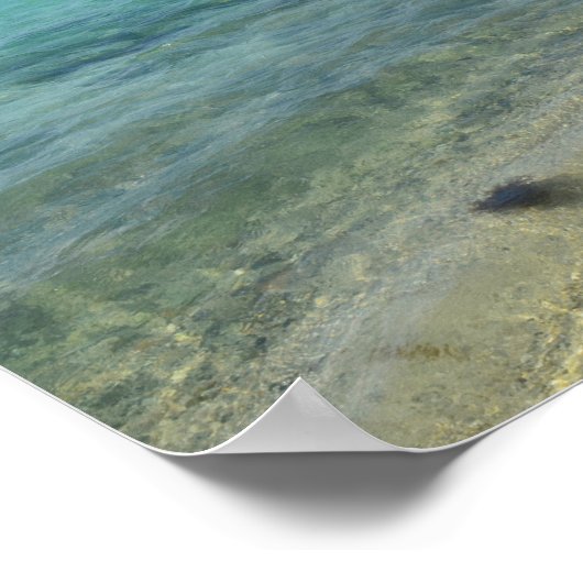 Poster Plage d'Aruba (Coin)