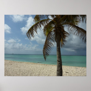 Poster Plage d'Aruba I Belle Scène Naturelle