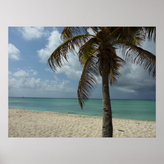 Poster Plage d'Aruba I Belle Scène Naturelle (Devant)