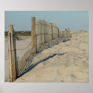 Poster Plage d'Assateague