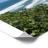 Poster Plage de Byron Bay (Coin)