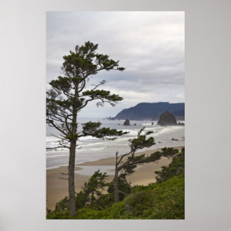 Poster Plage de Cannon de Tolovana dans l'Oregon Pacifiqu