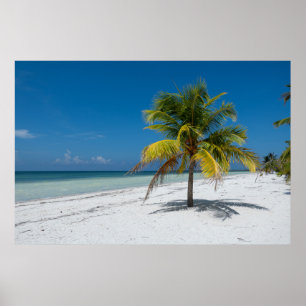 Poster Plage de Cayo Blanco à Cuba