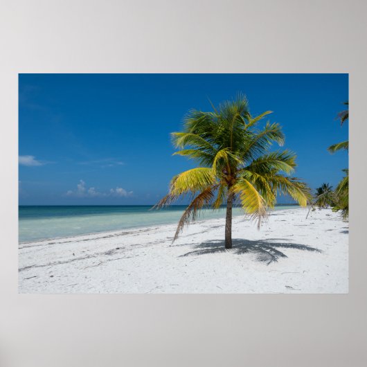 Poster Plage de Cayo Blanco à Cuba (Devant)