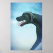 POSTER PLAGE DE CHIEN DANSE (Devant)